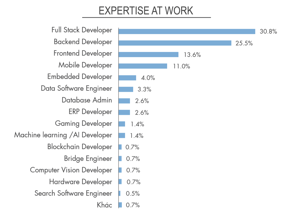 Vietnamworkからの報告データ_Programing_Skill