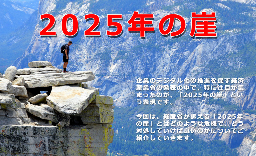 経済評論　1987 5 経産省が警鐘を鳴らす「2025年の崖」とは？わかりやすく解説