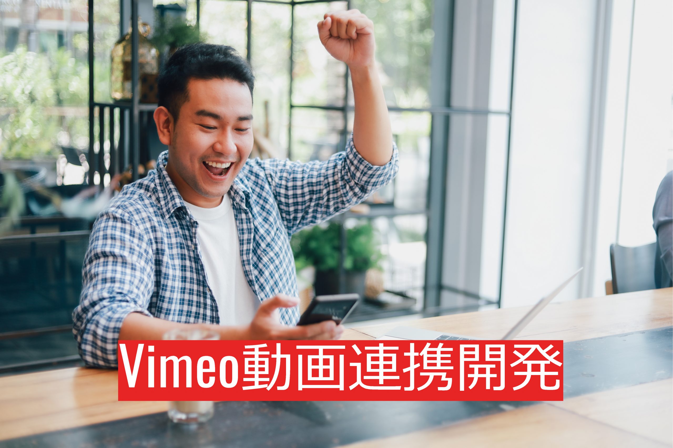 vimeo動画配信システム開発 サブスクリプション会員サイト