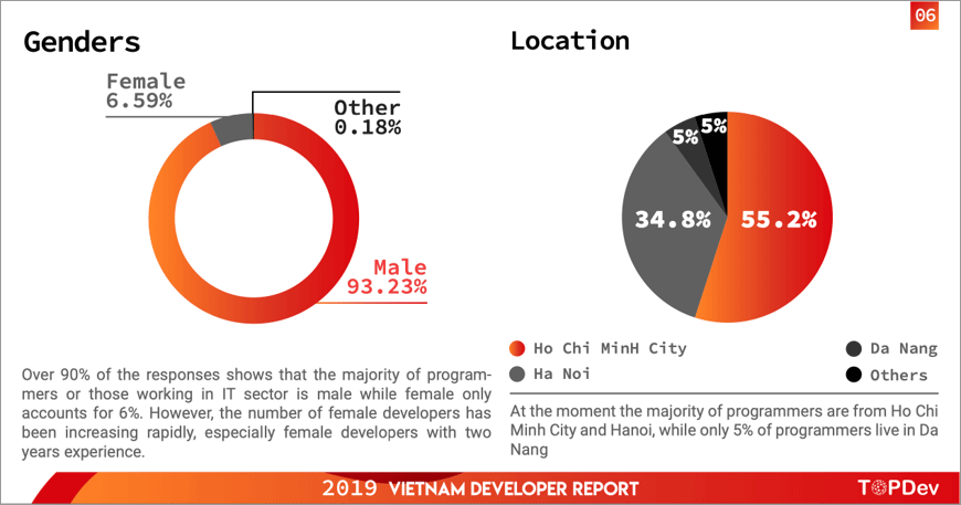 vn-developer-report-gender-location