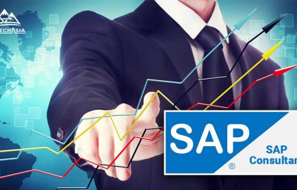 SAPコンサルタントとは？仕事の内容と重要性