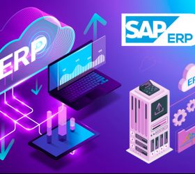 ERPの市場規模は拡大傾向。クラウド活用のメリットとは