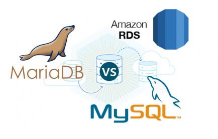 MariaDBとは？開発の経緯と特徴、MySQLとの違いやAmazon RDSについても解説